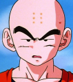 :krillin: