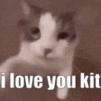 Iloveyoukit.gif