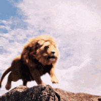 aslan-roar.gif